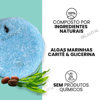 Shampoo Anti Caspa: PurcBlue com Algas Marinhas - Bela Vital